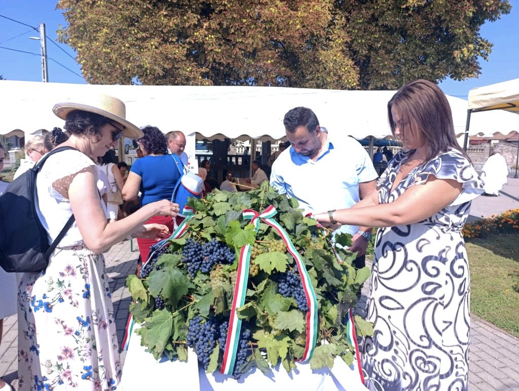 Szüreti koszorú, Szomolya 2025